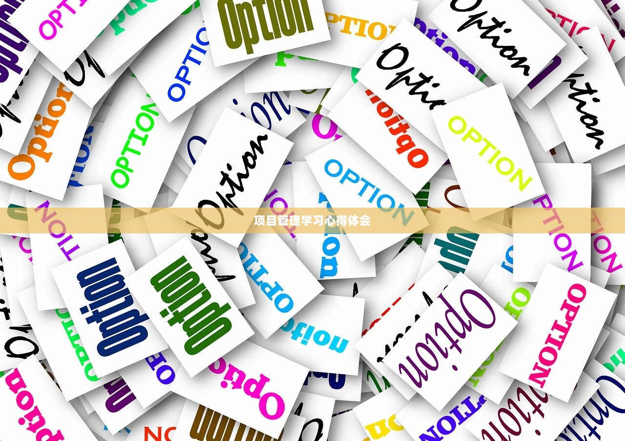 项目管理学习心得体会