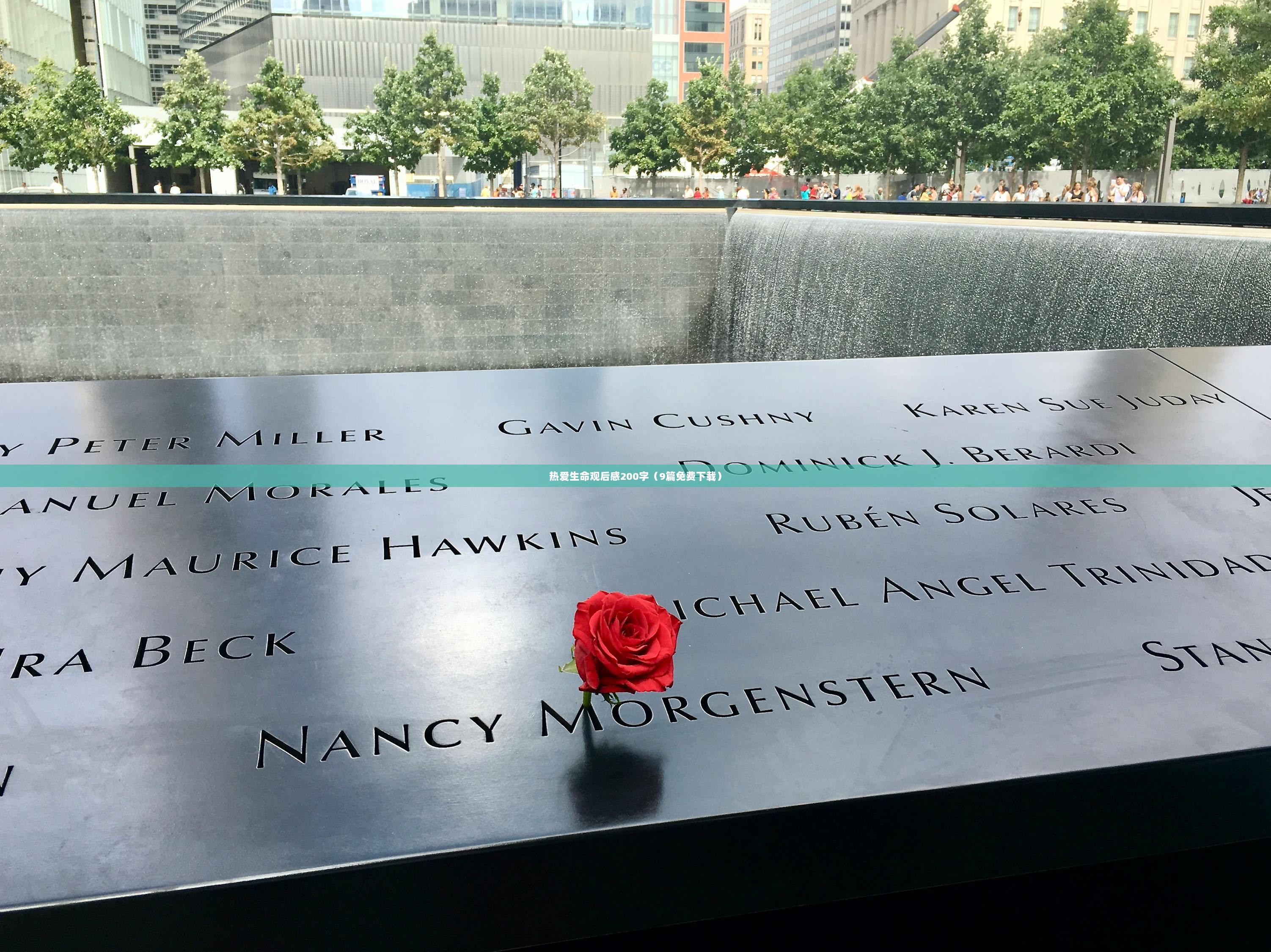 热爱生命观后感200字（9篇免费下载）