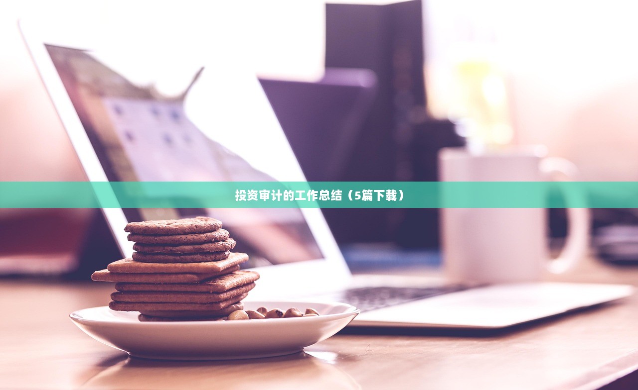 投资审计的工作总结（5篇下载）  第1张