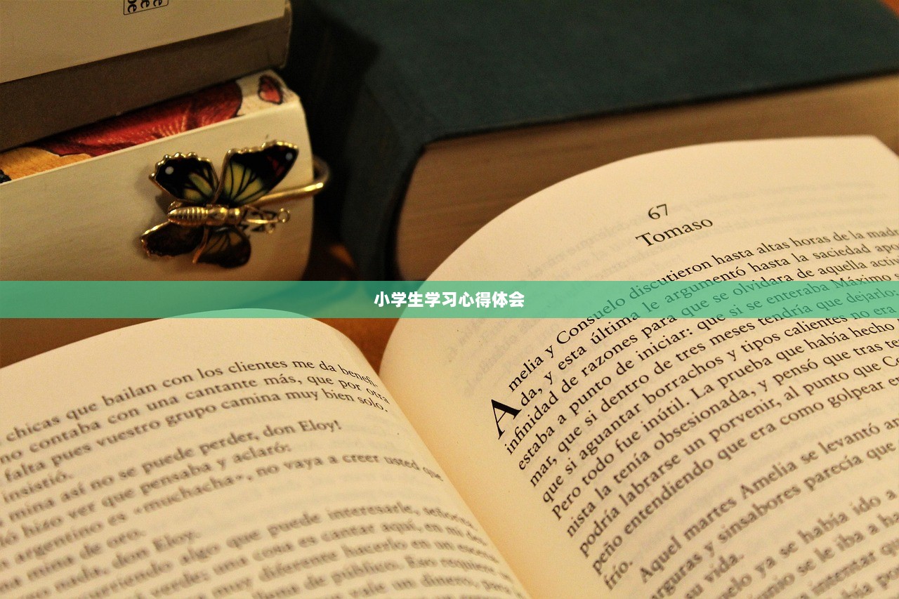 小学生学习心得体会  第1张