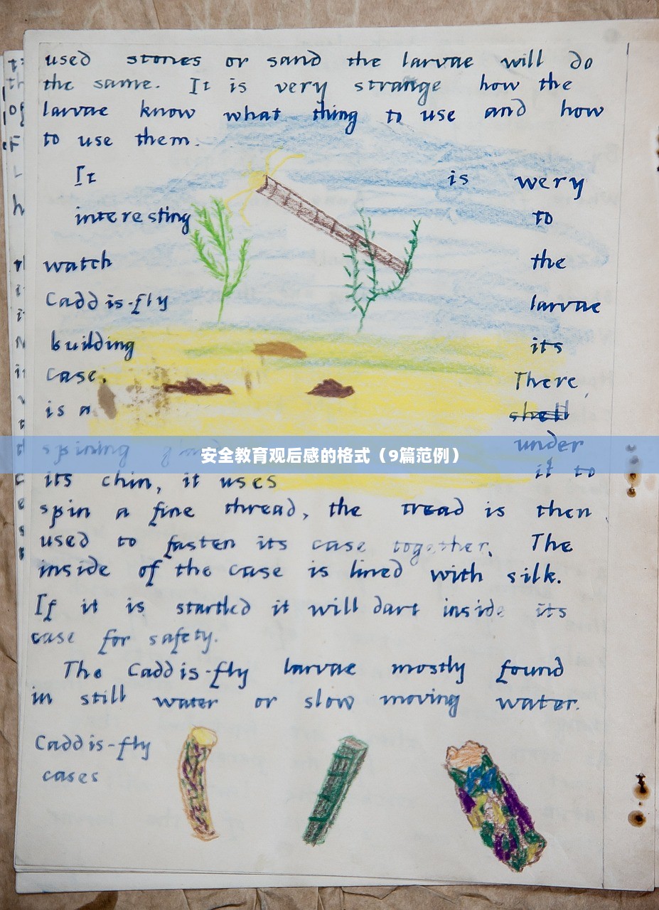 安全教育观后感的格式（9篇范例）