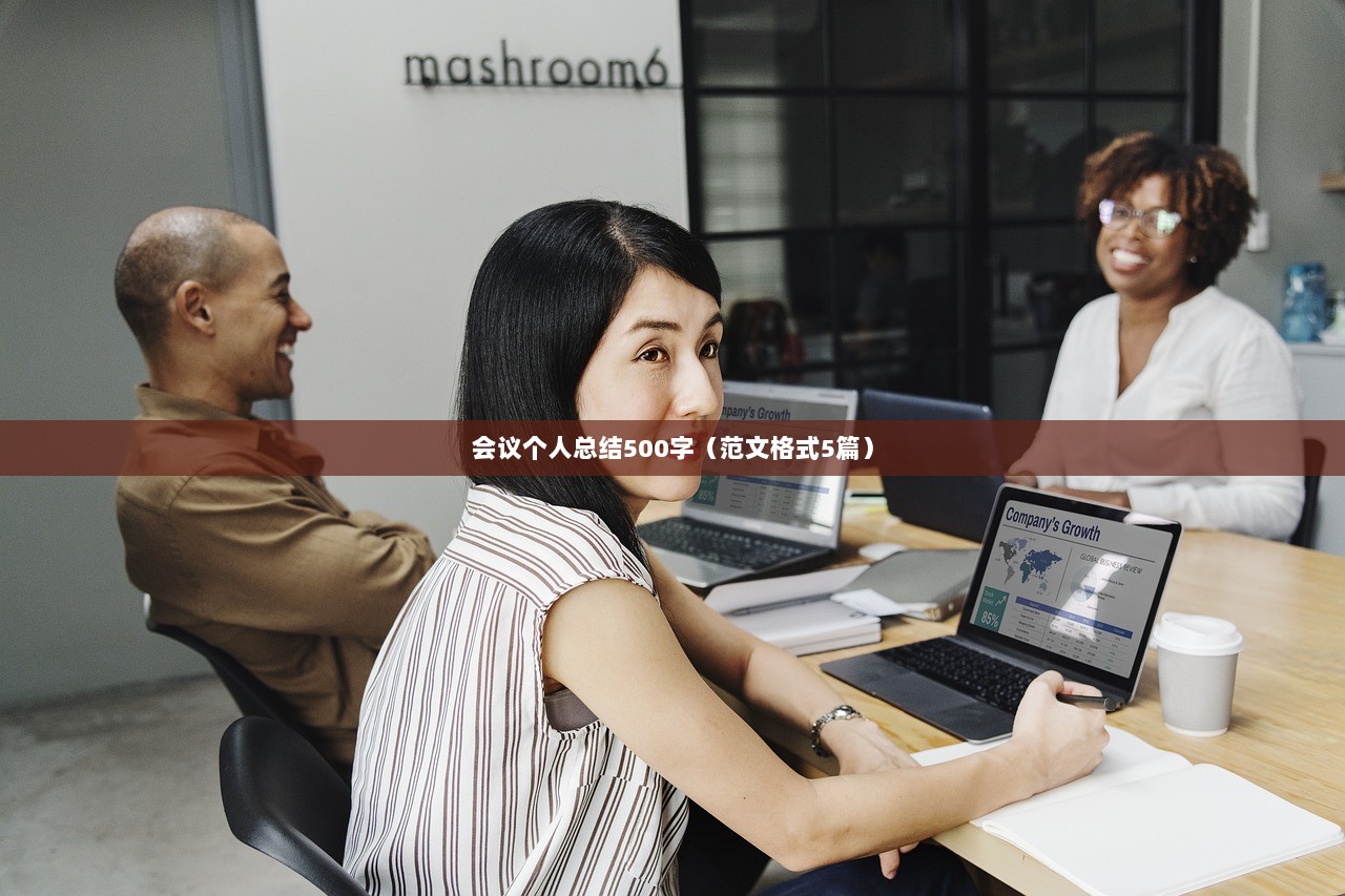会议个人总结500字(范文格式5篇) 第1张 会议个人总结500字(范文格式5篇) 第1张