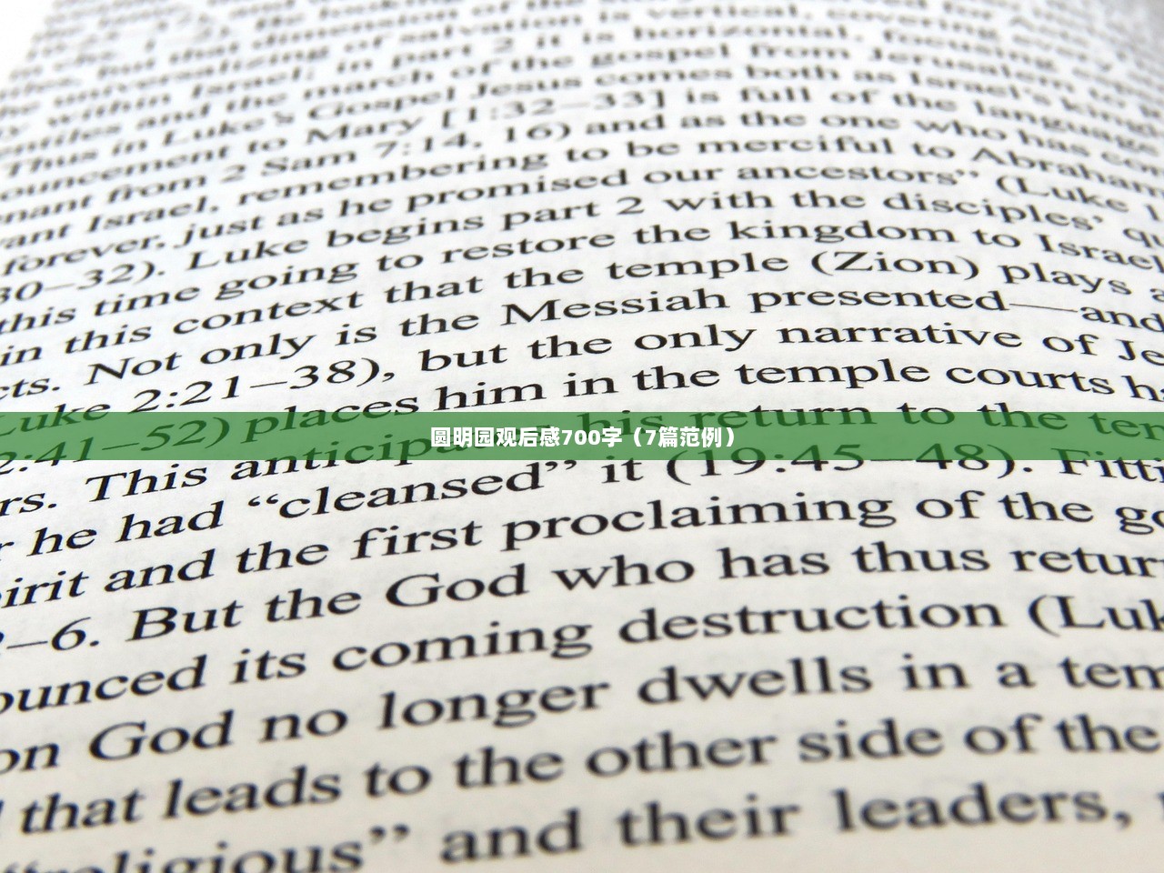 圆明园观后感700字(7篇范例) 第1张 圆明园观后感700字(7篇范例) 第1张