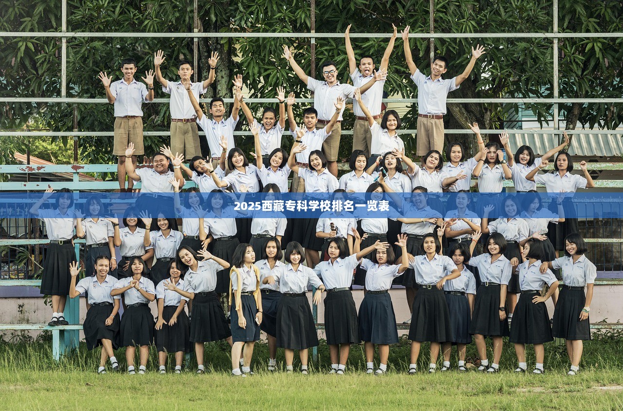 2025西藏专科学校排名一览表