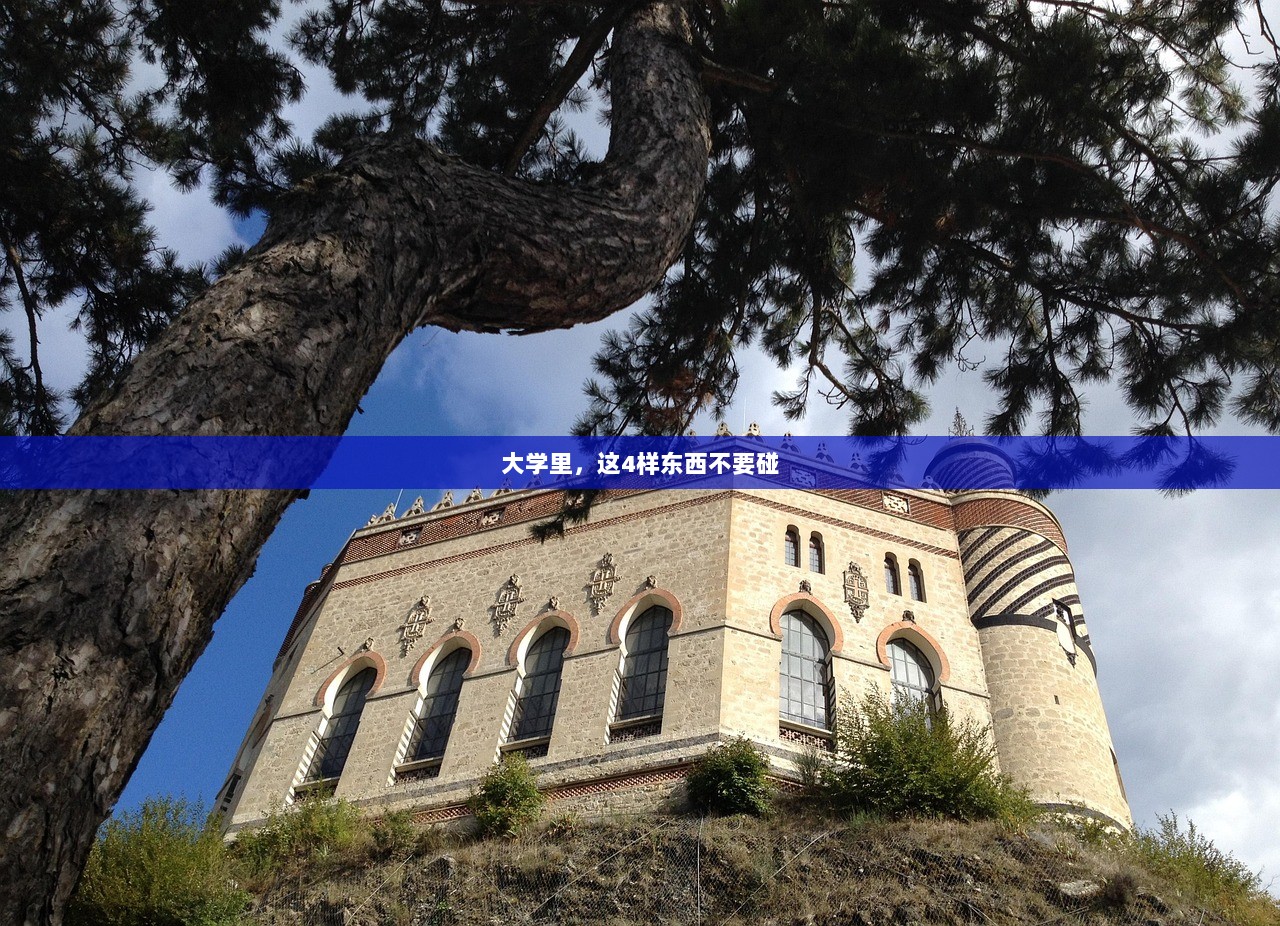 大学里，这4样东西不要碰  第1张