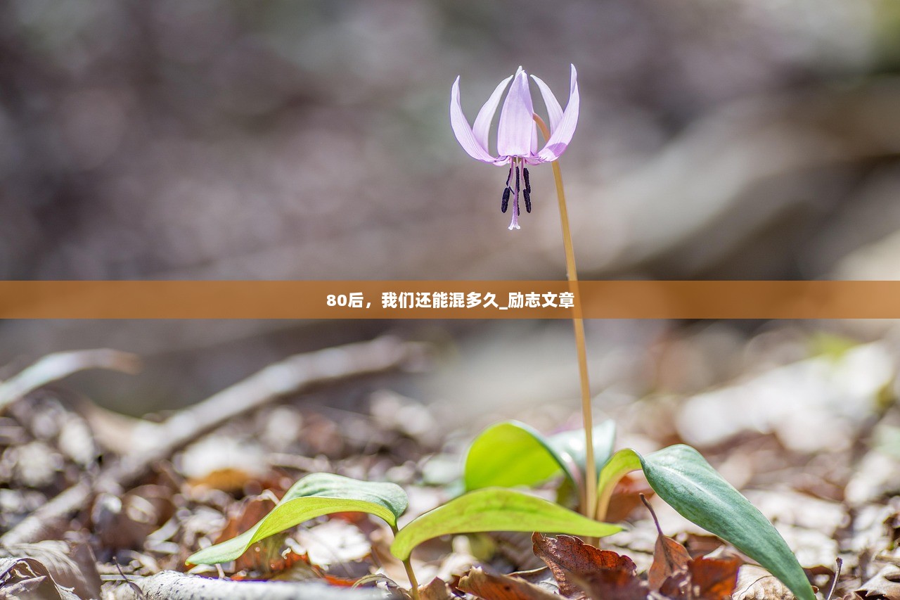 80后，我们还能混多久_励志文章  第1张