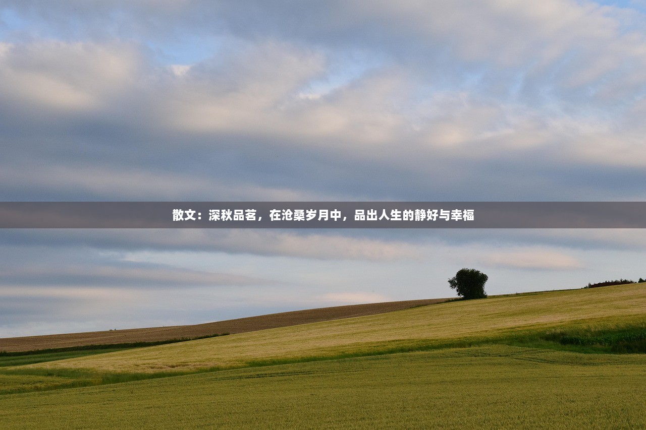 散文：深秋品茗，在沧桑岁月中，品出人生的静好与幸福  第1张