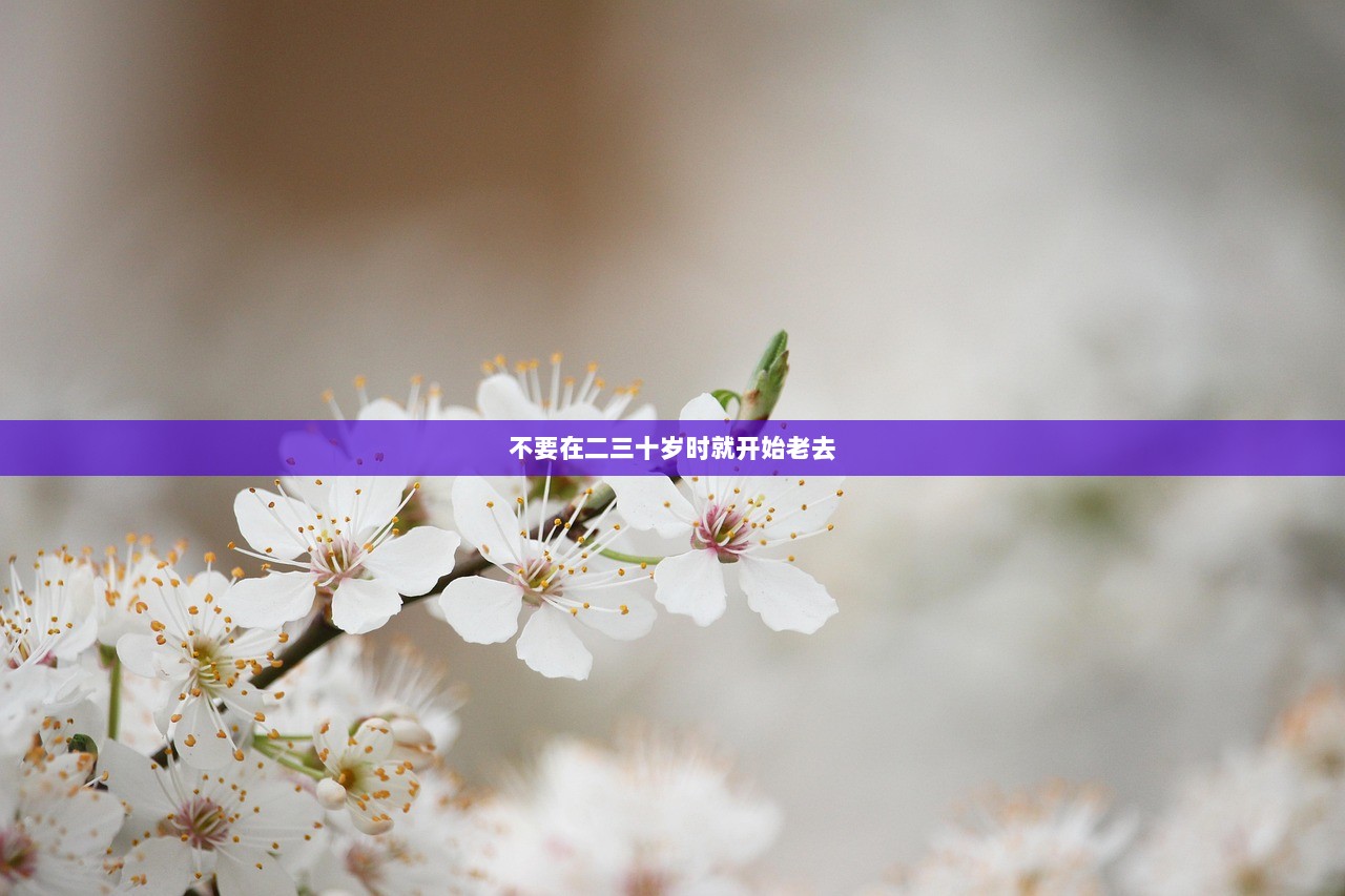 不要在二三十岁时就开始老去  第1张