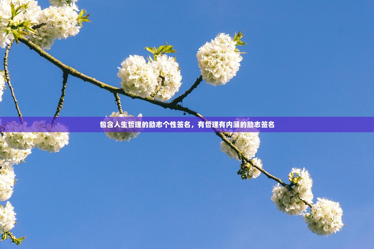 包含人生哲理的励志个性签名，有哲理有内涵的励志签名
