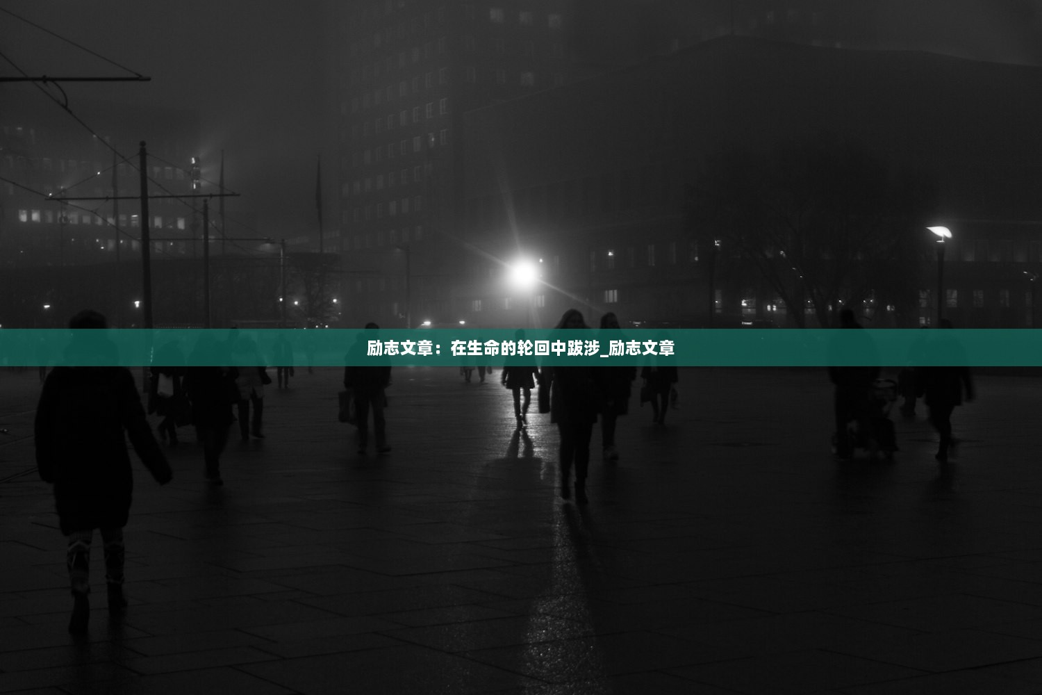励志文章：在生命的轮回中跋涉_励志文章