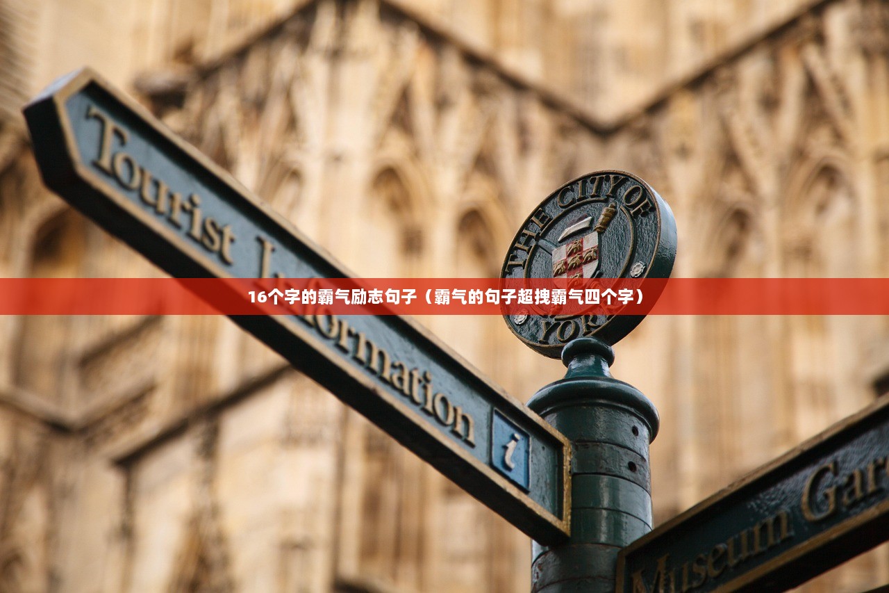 16个字的霸气励志句子（霸气的句子超拽霸气四个字）