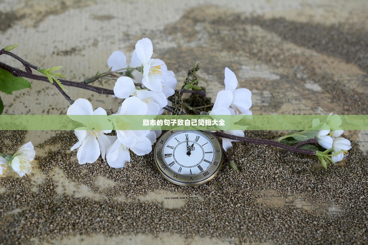 励志的句子致自己简短大全  第1张