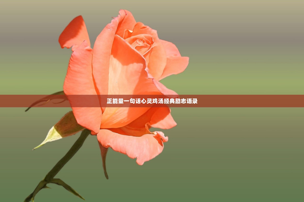 正能量一句话心灵鸡汤经典励志语录