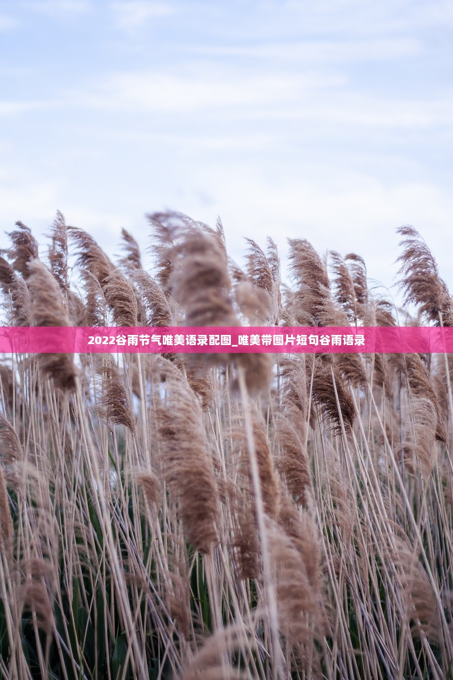 2022谷雨节气唯美语录配图_唯美带图片短句谷雨语录