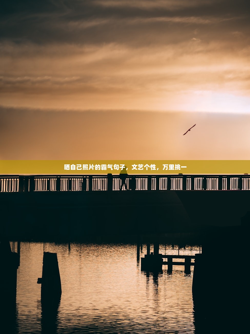 晒自己照片的霸气句子，文艺个性，万里挑一