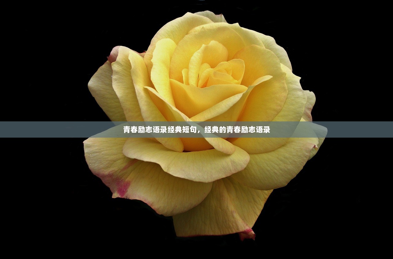 青春励志语录经典短句，经典的青春励志语录