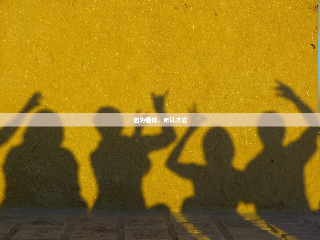 因为懂得，所以才爱