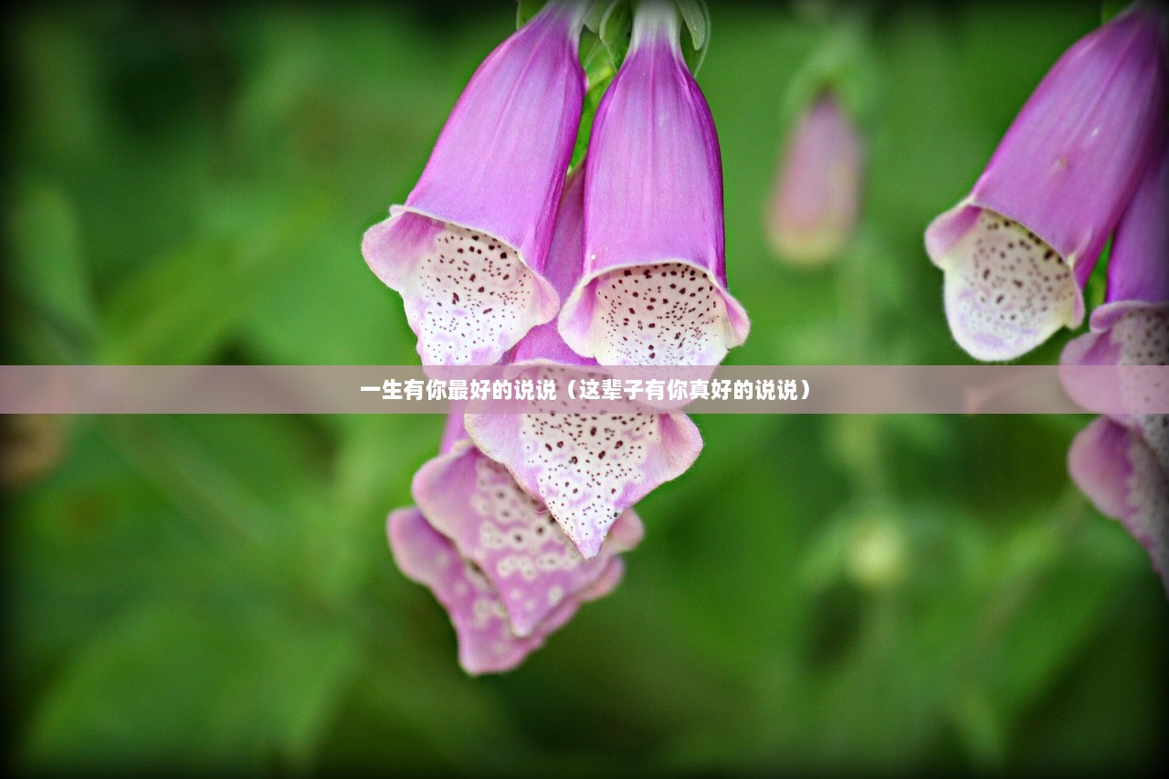一生有你最好的说说（这辈子有你真好的说说）