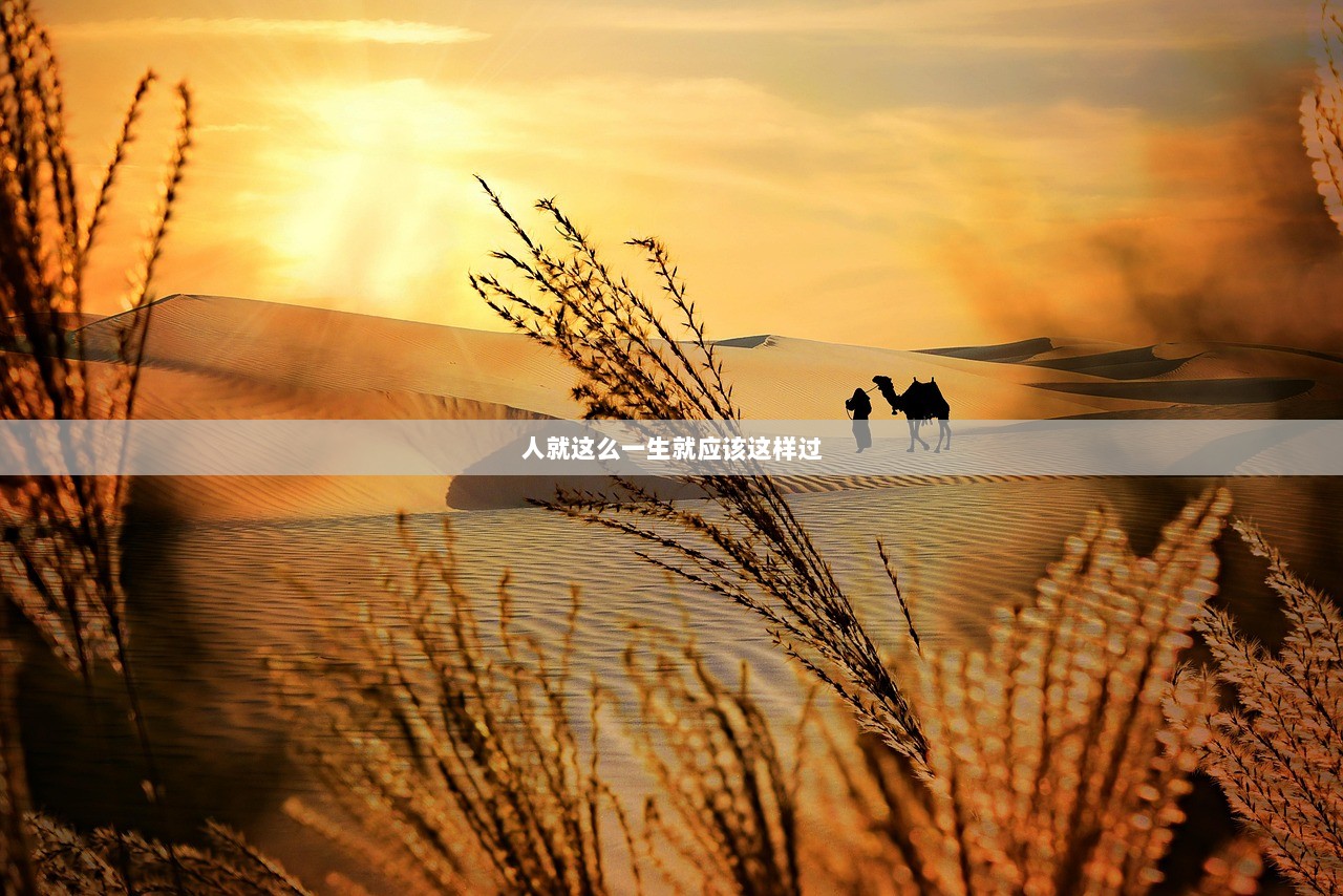 人就这么一生就应该这样过