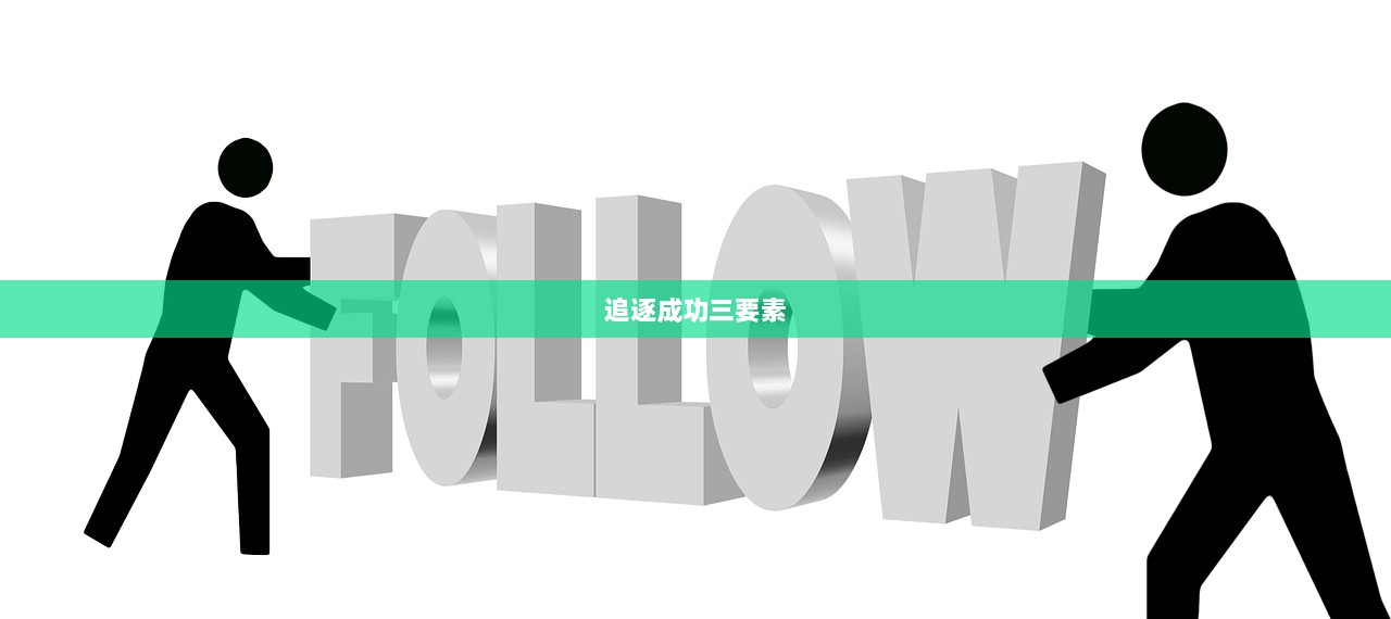 追逐成功三要素