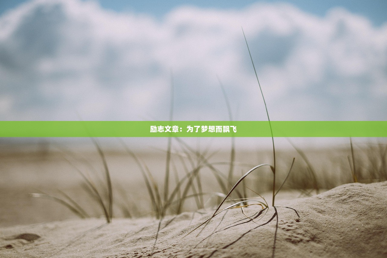励志文章：为了梦想而飘飞