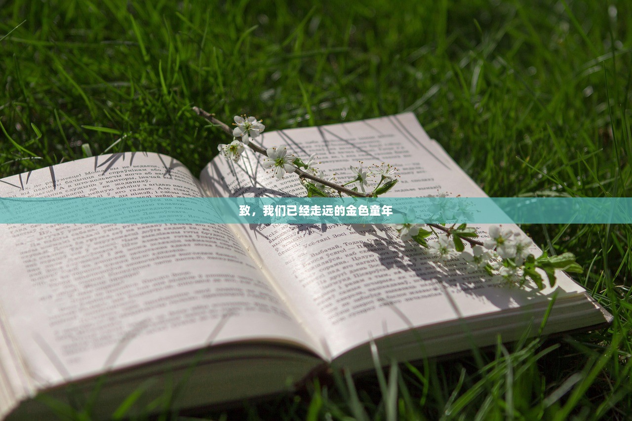 致，我们已经走远的金色童年