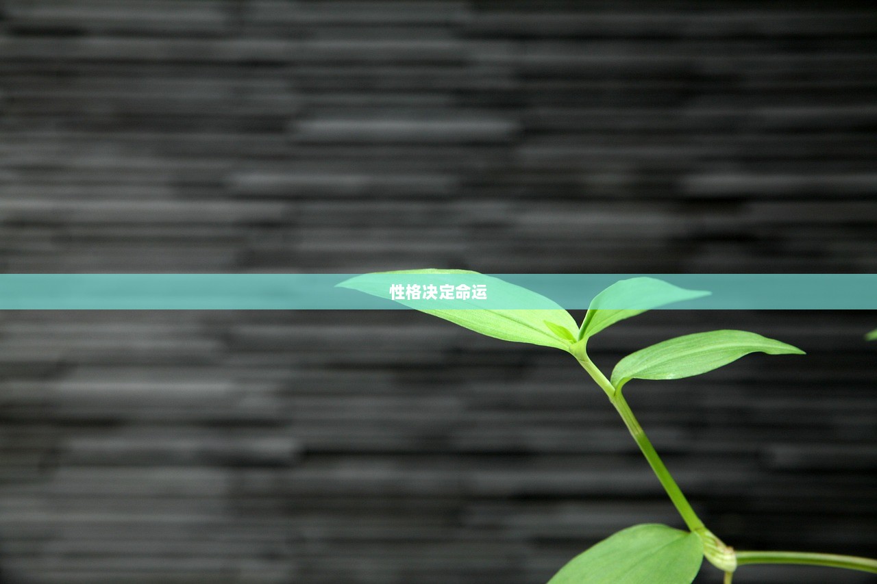 性格决定命运