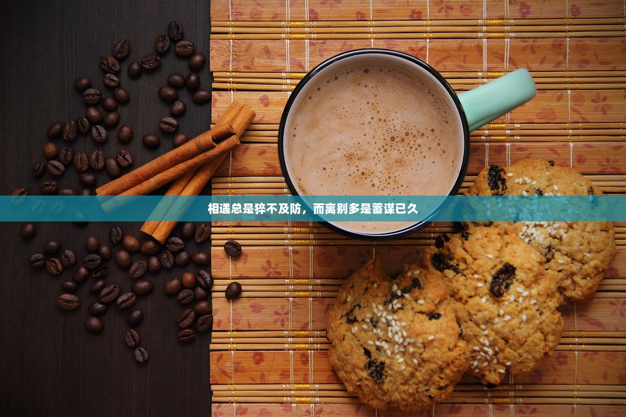 相遇总是猝不及防，而离别多是蓄谋已久