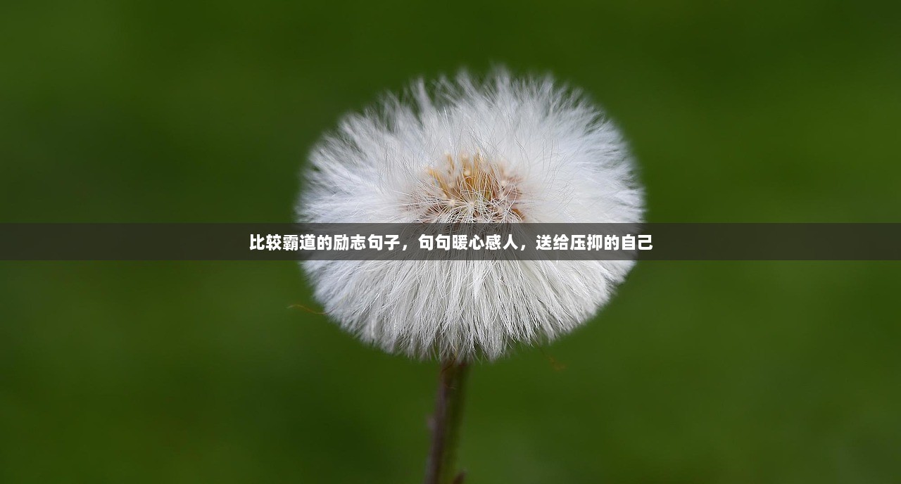 比较霸道的励志句子，句句暖心感人，送给压抑的自己