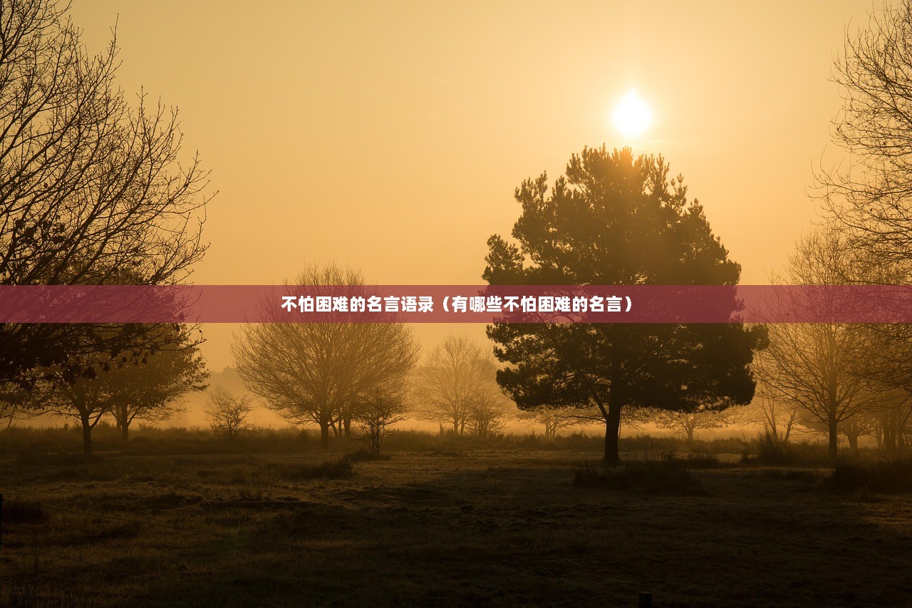 不怕困难的名言语录（有哪些不怕困难的名言）