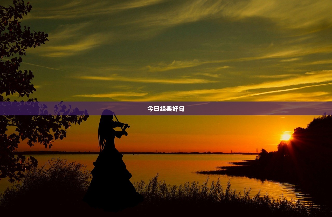 今日经典好句