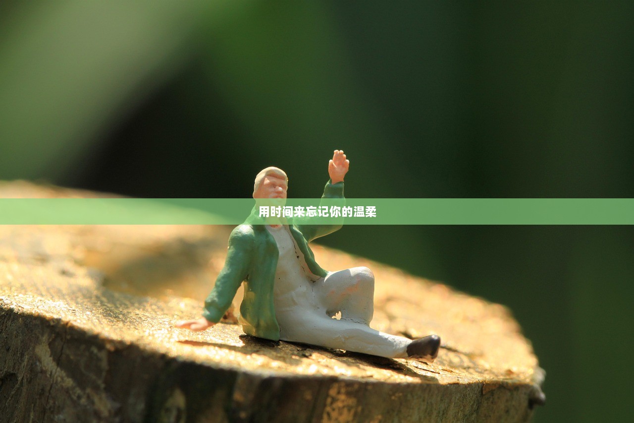用时间来忘记你的温柔