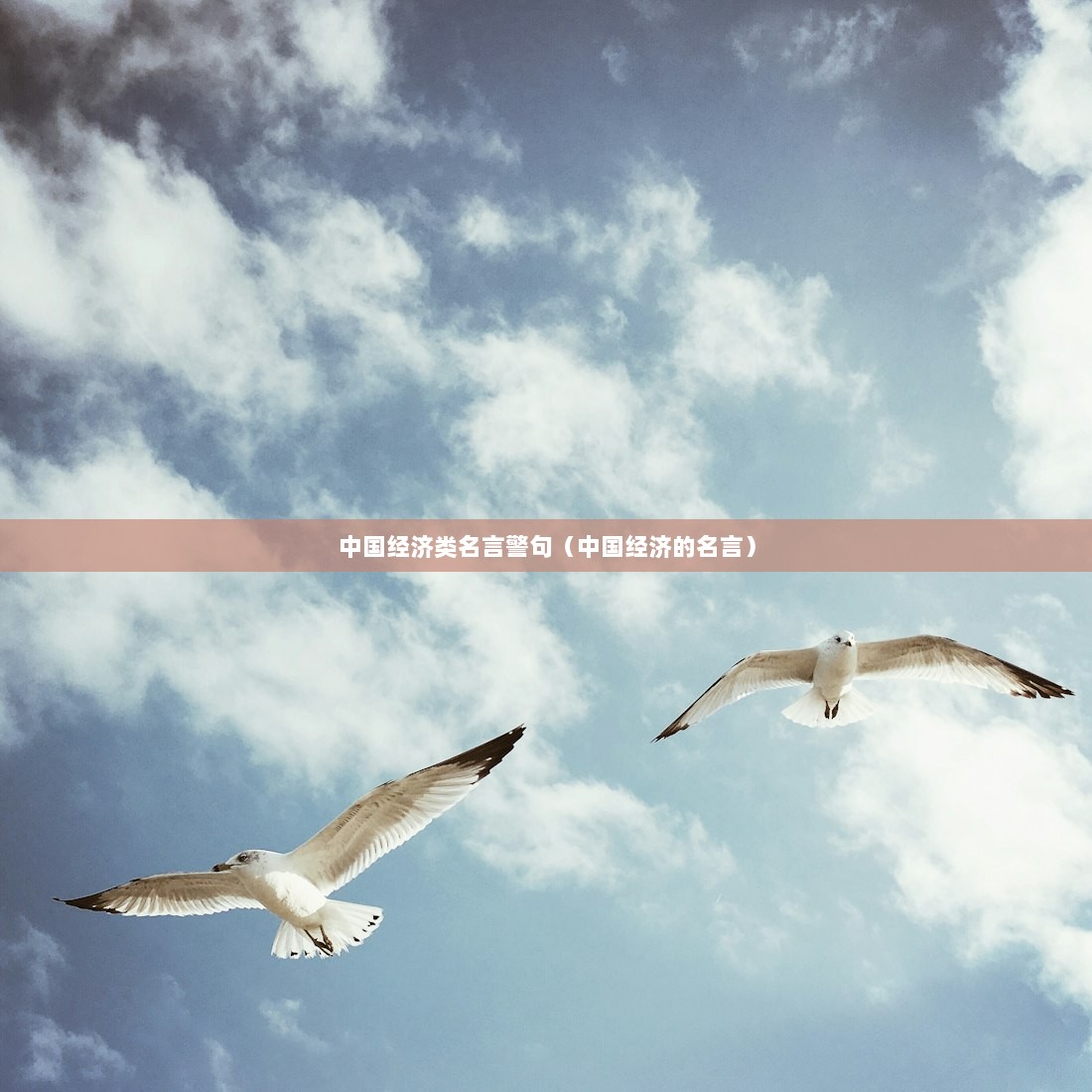 中国经济类名言警句（中国经济的名言）  第1张