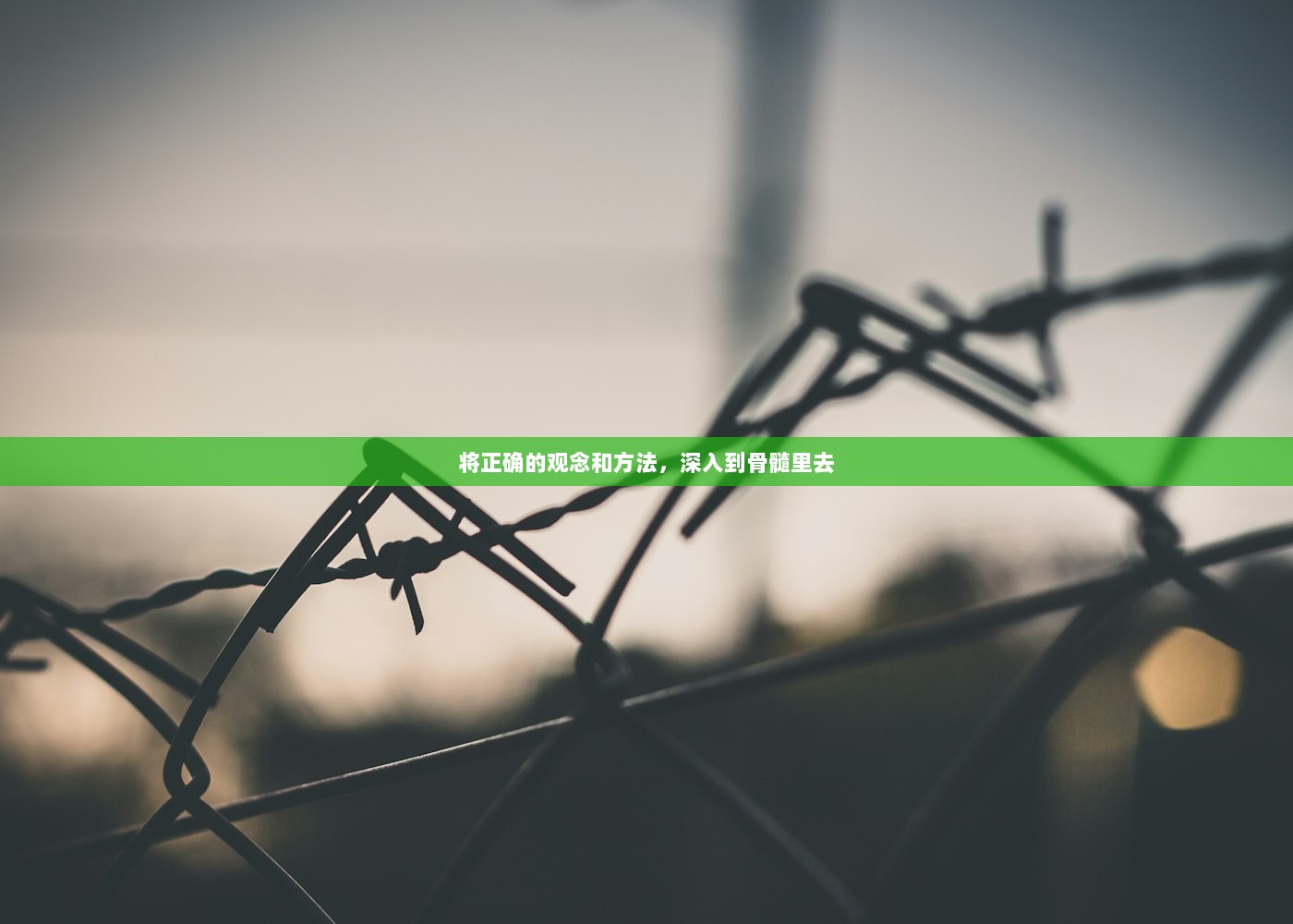 将正确的观念和方法，深入到骨髓里去