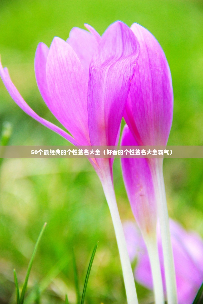 50个最经典的个性签名大全（好看的个性签名大全霸气）