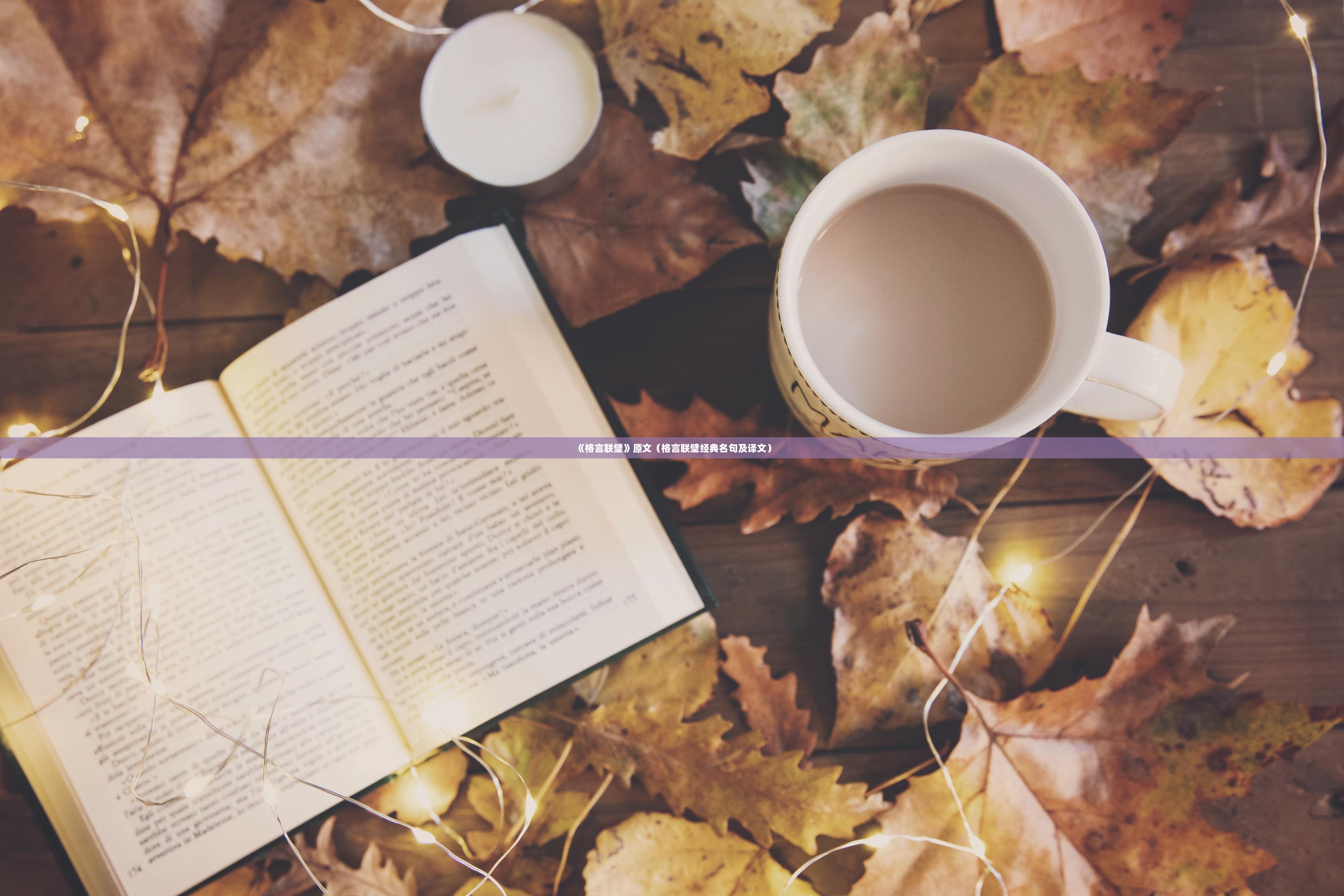 《格言联璧》原文（格言联璧经典名句及译文）