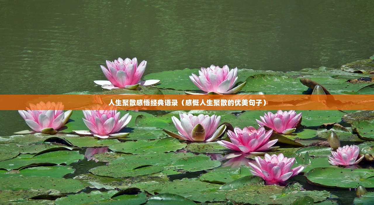 人生聚散感悟经典语录（感慨人生聚散的优美句子）