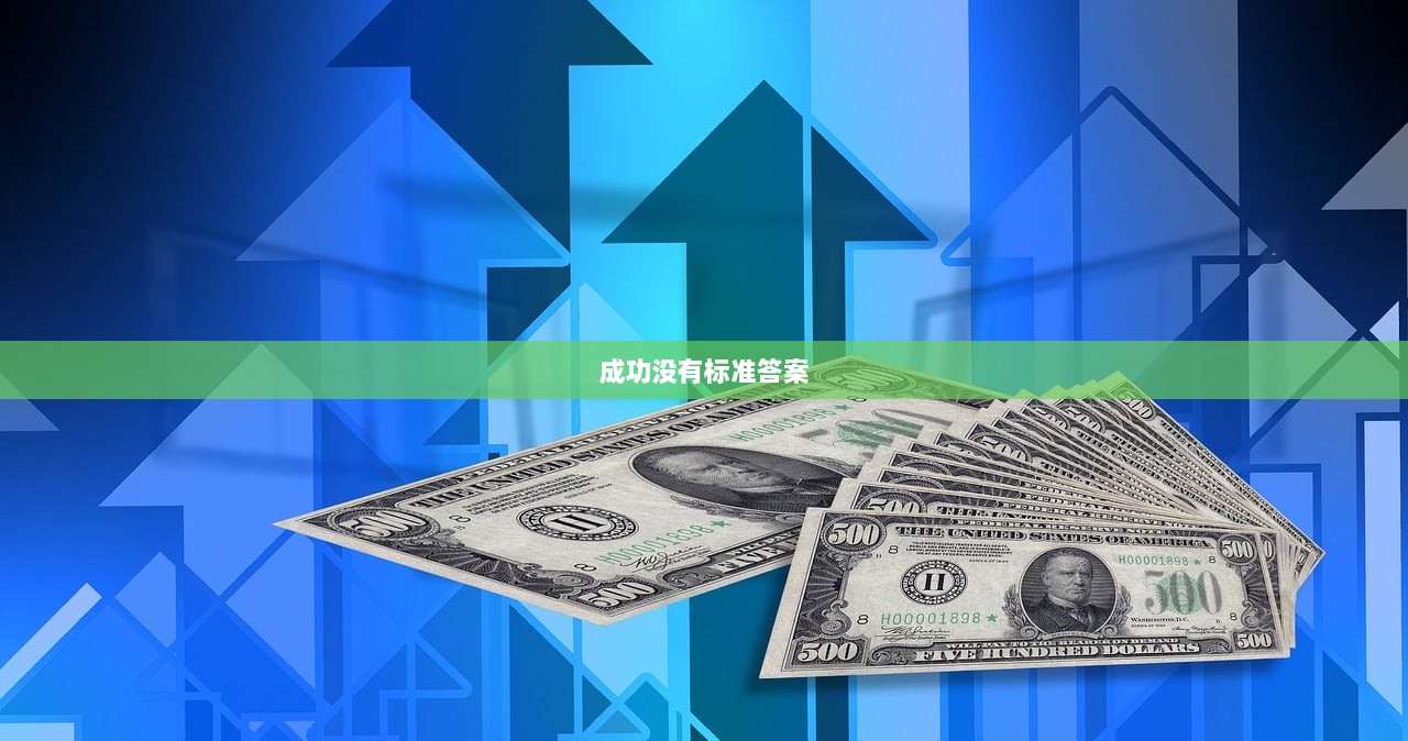成功没有标准答案
