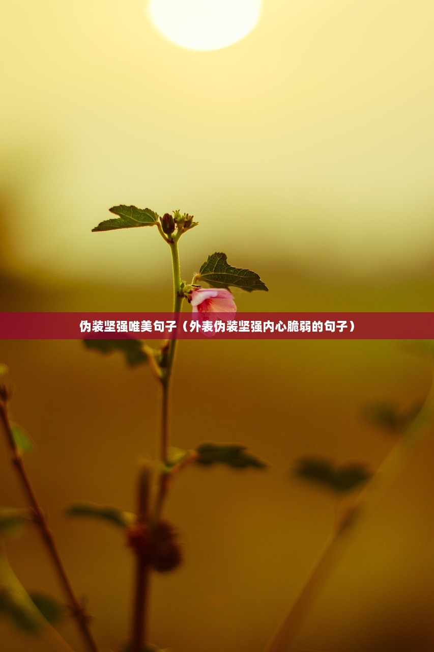 伪装坚强唯美句子（外表伪装坚强内心脆弱的句子）