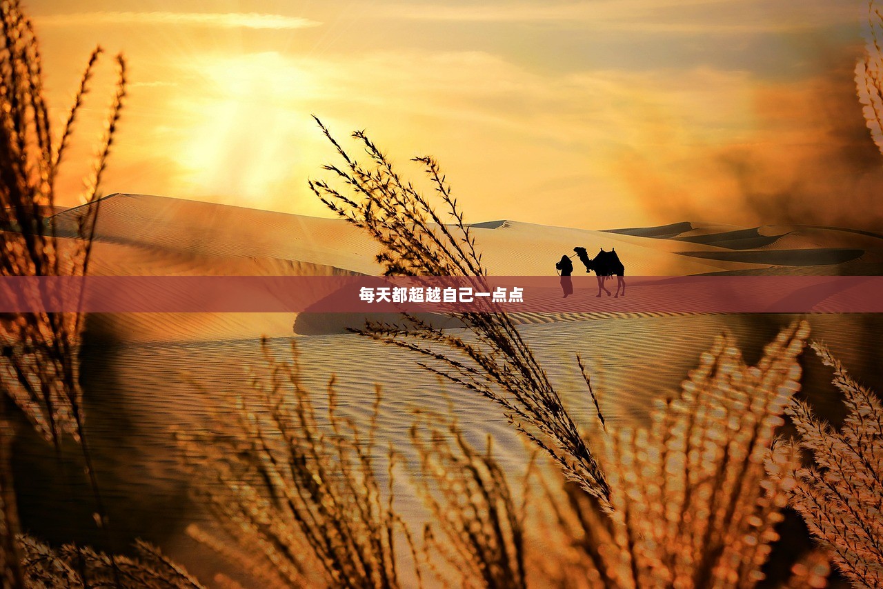 每天都超越自己一点点  第1张