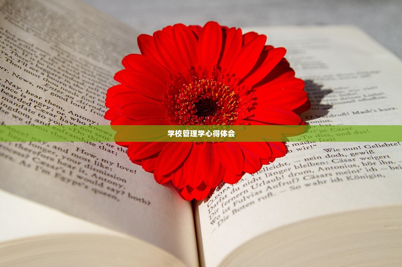 学校管理学心得体会