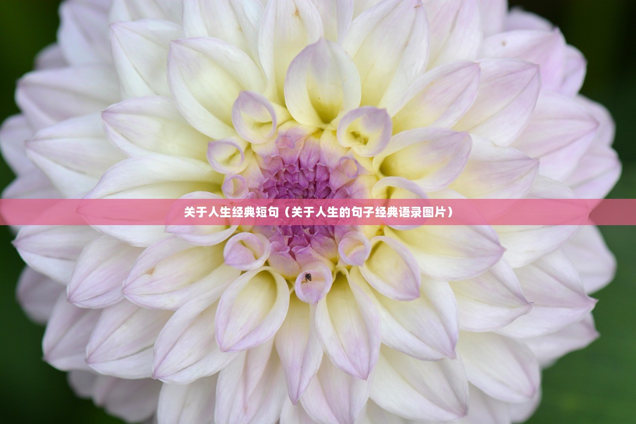 关于人生经典短句（关于人生的句子经典语录图片）  第1张
