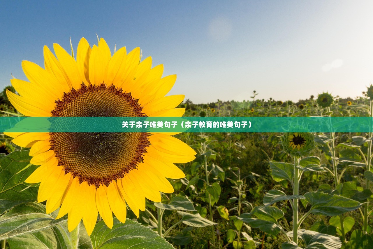 关于亲子唯美句子（亲子教育的唯美句子）  第1张