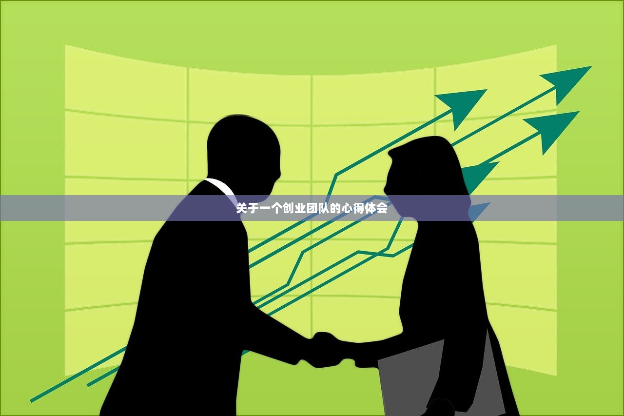 关于一个创业团队的心得体会