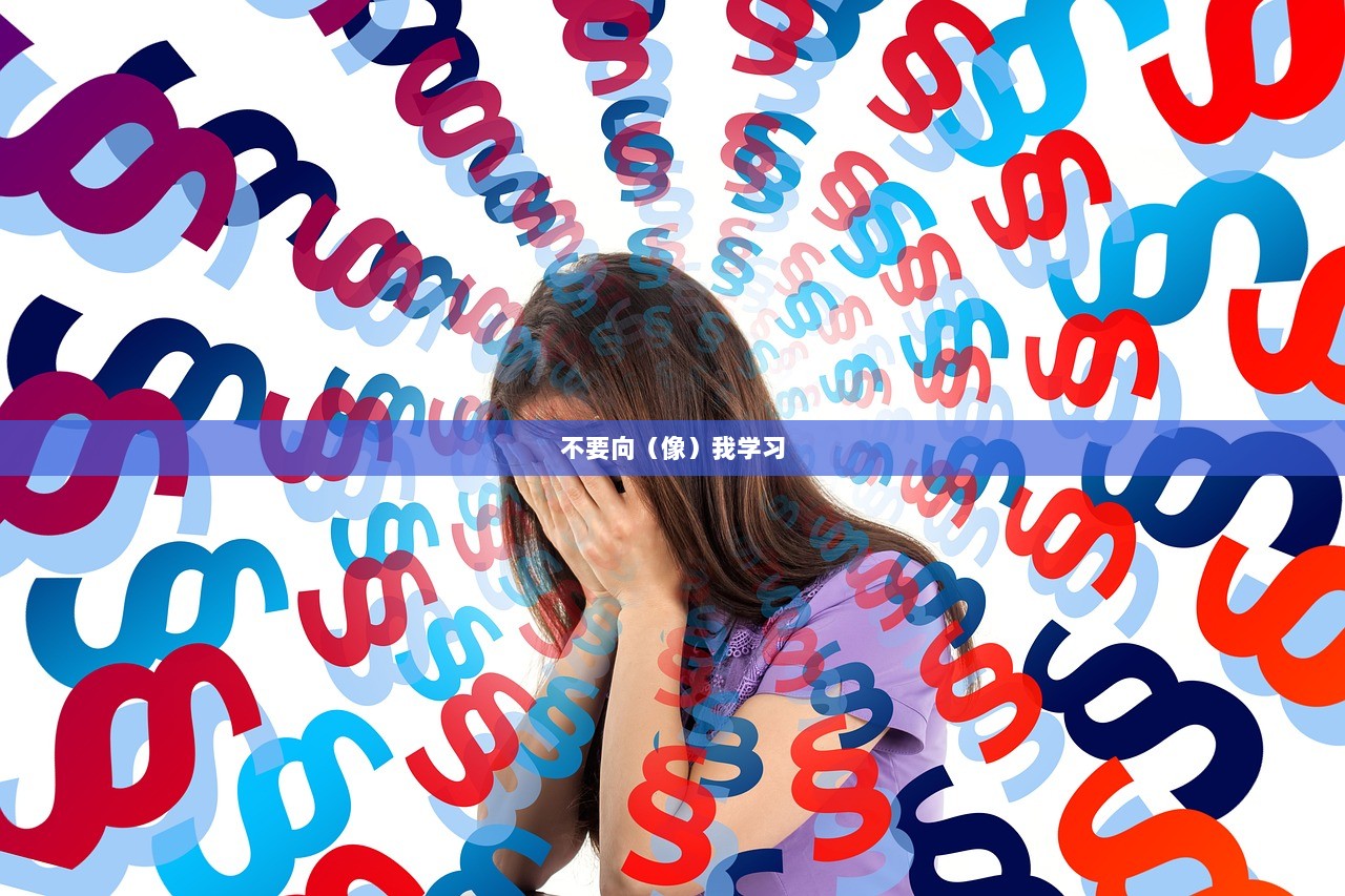 不要向（像）我学习