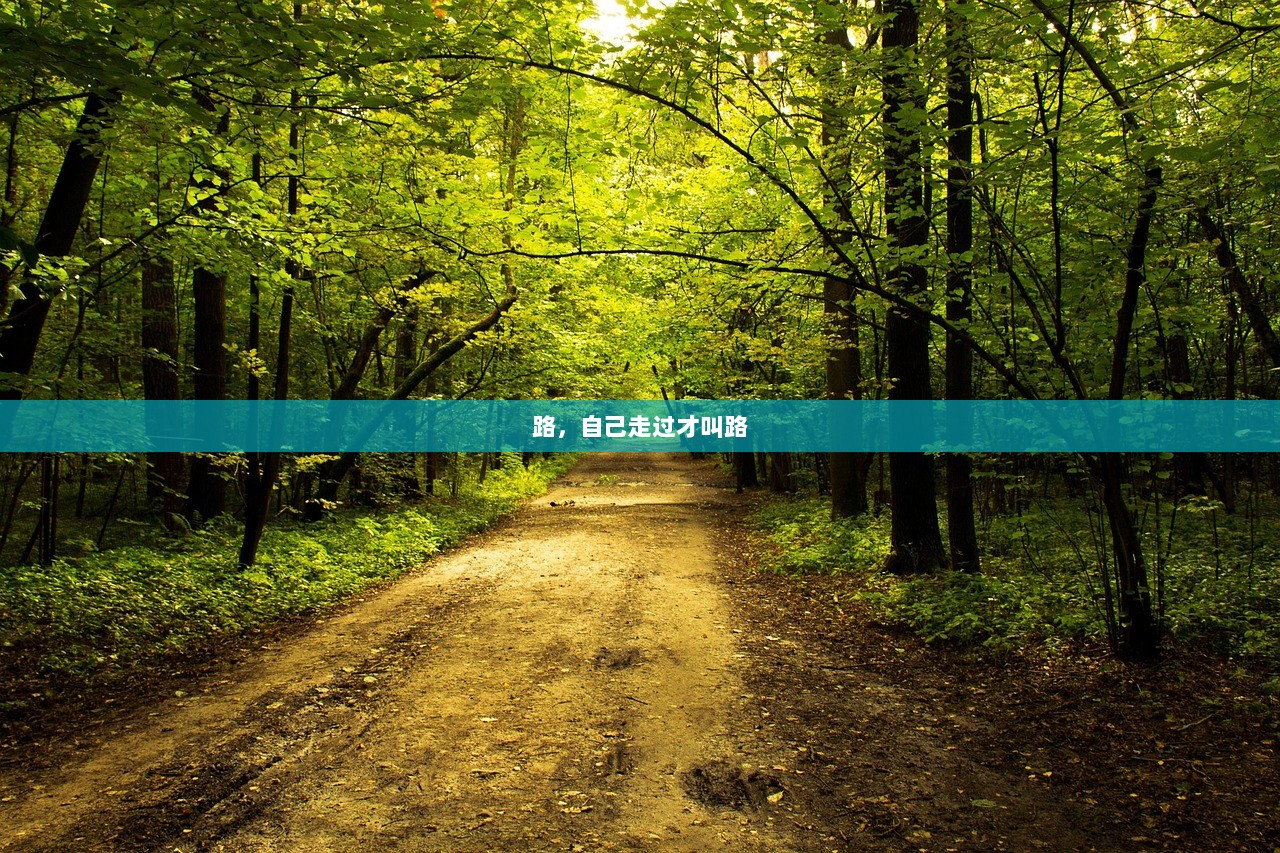 路，自己走过才叫路