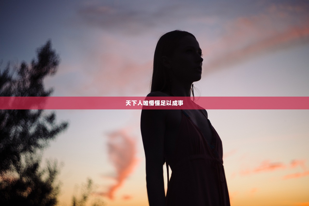 天下人唯懵懂足以成事