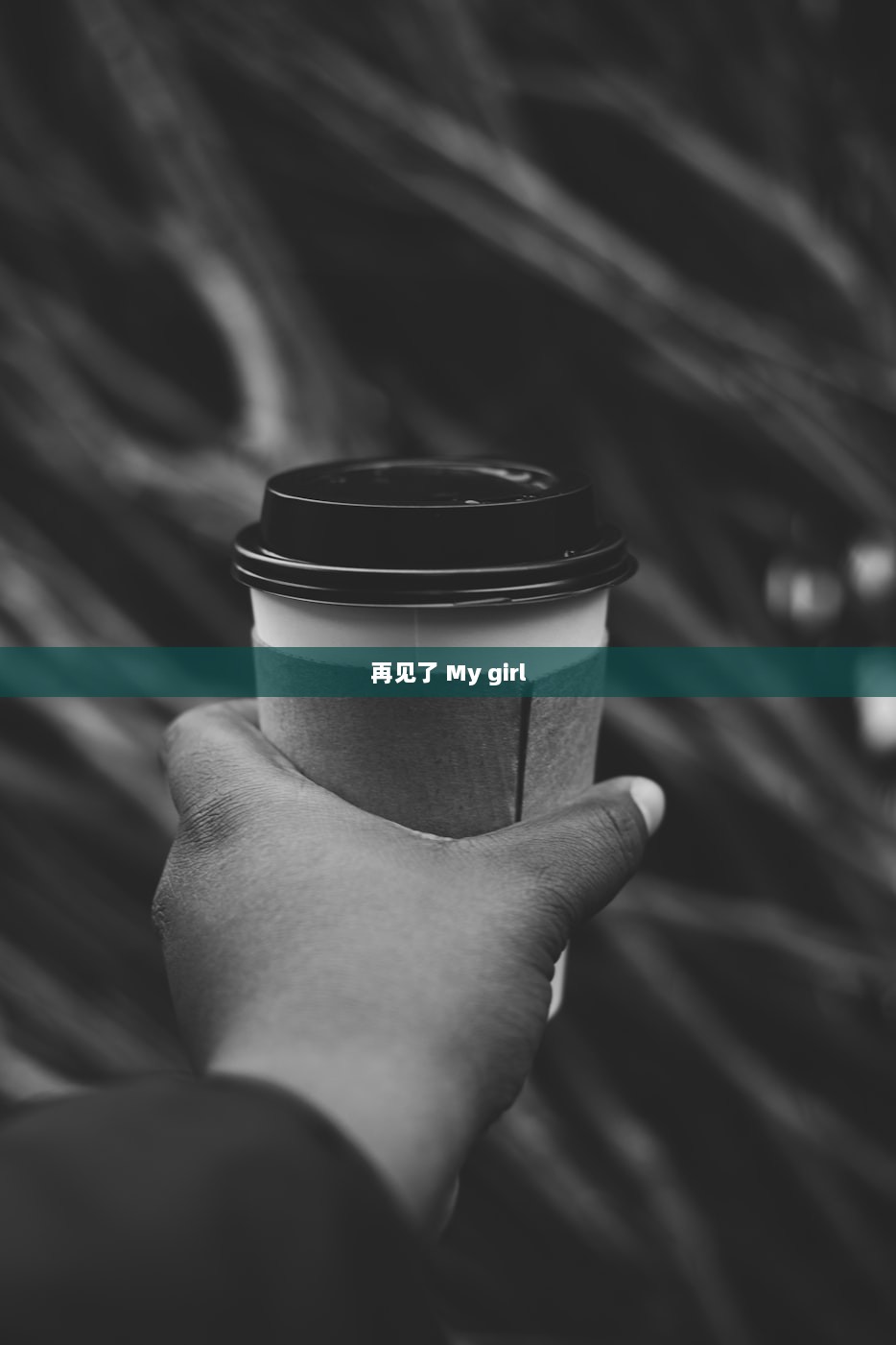 再见了 My girl