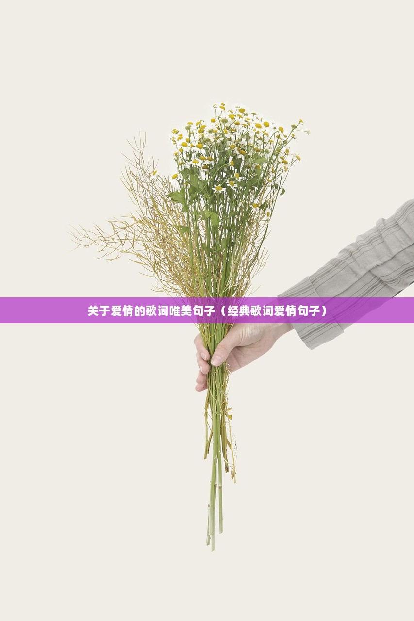 关于爱情的歌词唯美句子（经典歌词爱情句子）