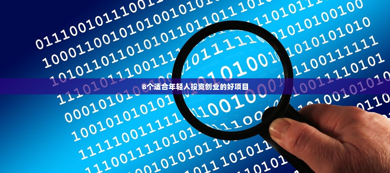 8个适合年轻人投资创业的好项目